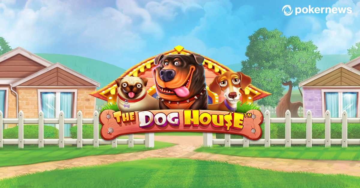 Слот The Dog House от Pragmatic Play в Драгон Мани